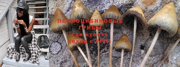 мескалин Аркадак