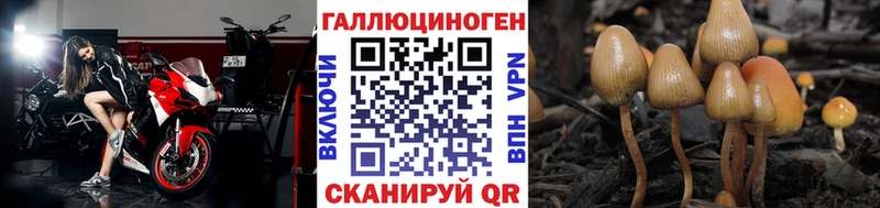 закладки  Суоярви  Галлюциногенные грибы Magic Shrooms 